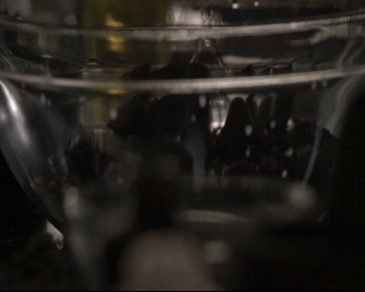 VampireDiariesWorld-dot-nl_TheOriginals-2x03EveryMothersSon0018.jpg