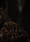 VampireDiariesWorld-dot-nl_TheOriginals-2x03EveryMothersSon1128.jpg