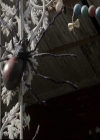 VampireDiariesWorld-dot-nl_TheOriginals-2x04LiveAndLetDie0124.jpg