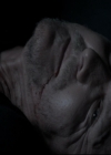 Filename=VampireDiariesWorld-dot-nl_TheOriginals-2x04LiveAndLetDie2237.jpg
Filesize=111KiB
Dimensions=720x576
Date added=Nov 10, 2015 VampireDiariesWorld-dot-nl_TheOriginals-2x04LiveAndLetDie2237.jpg