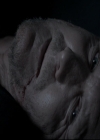 Filename=VampireDiariesWorld-dot-nl_TheOriginals-2x04LiveAndLetDie2238.jpg
Filesize=125KiB
Dimensions=720x576
Date added=Nov 10, 2015 VampireDiariesWorld-dot-nl_TheOriginals-2x04LiveAndLetDie2238.jpg