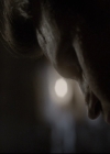 Filename=VampireDiariesWorld-dot-nl_TheOriginals-2x04LiveAndLetDie2241.jpg
Filesize=146KiB
Dimensions=720x576
Date added=Nov 10, 2015 VampireDiariesWorld-dot-nl_TheOriginals-2x04LiveAndLetDie2241.jpg