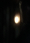 VampireDiariesWorld-dot-nl_TheOriginals-2x05RedDoor0344.jpg