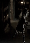 VampireDiariesWorld_dot_nl-TheOriginals_2x06WheelInsidetheWheel1992.jpg