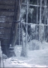 Filename=VampireDiariesWorld_dot_nl-TheOriginals_2x06WheelInsidetheWheel2214.jpg
Filesize=239KiB
Dimensions=720x576
Date added=Nov 10, 2015 VampireDiariesWorld_dot_nl-TheOriginals_2x06WheelInsidetheWheel2214.jpg