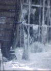 Filename=VampireDiariesWorld_dot_nl-TheOriginals_2x06WheelInsidetheWheel2215.jpg
Filesize=183KiB
Dimensions=720x576
Date added=Nov 10, 2015 VampireDiariesWorld_dot_nl-TheOriginals_2x06WheelInsidetheWheel2215.jpg