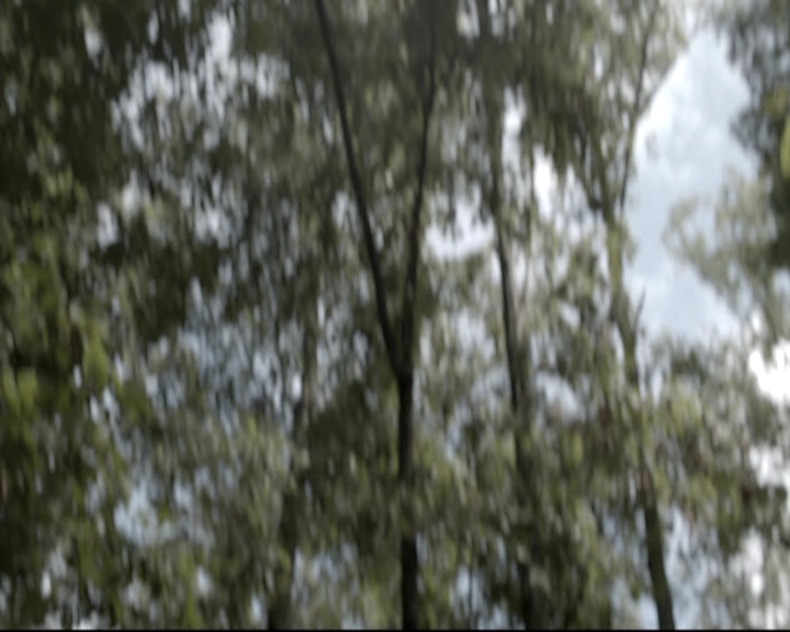 VampireDiariesWorld_dot_nl-TheOriginals_2x07ChasingTheDevilsTail0523.jpg