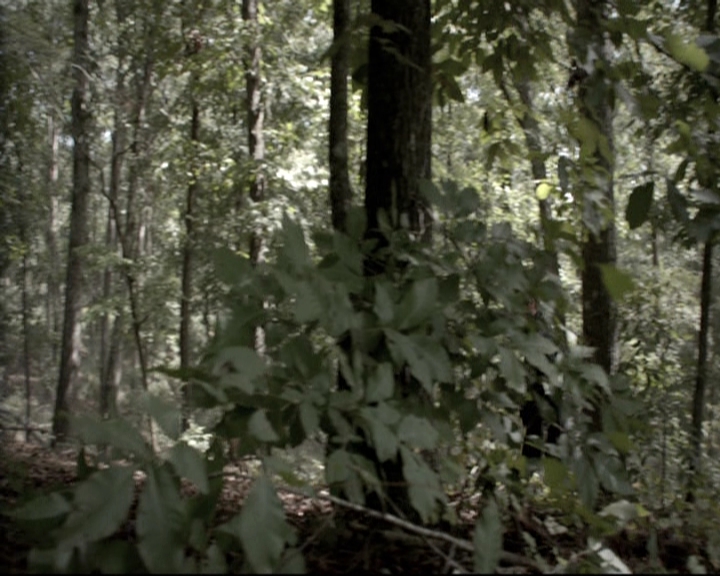VampireDiariesWorld_dot_nl-TheOriginals_2x07ChasingTheDevilsTail0531.jpg