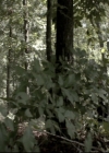 VampireDiariesWorld_dot_nl-TheOriginals_2x07ChasingTheDevilsTail0531.jpg