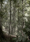 VampireDiariesWorld_dot_nl-TheOriginals_2x07ChasingTheDevilsTail0532.jpg