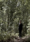 VampireDiariesWorld_dot_nl-TheOriginals_2x07ChasingTheDevilsTail0536.jpg