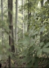 VampireDiariesWorld_dot_nl-TheOriginals_2x07ChasingTheDevilsTail0588.jpg