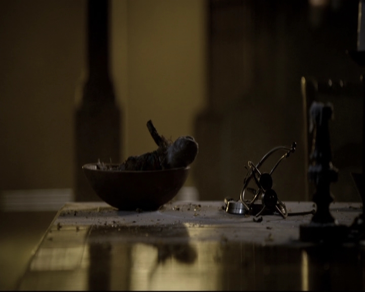 VampireDiariesWorld_dot_nl-TheOriginals_2x09TheMapOfMoments1821.jpg