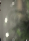 VampireDiariesWorld_dot_nl-TheOriginals_2x09TheMapOfMoments0891.jpg