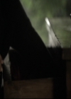 VampireDiariesWorld_dot_nl-TheOriginals_2x09TheMapOfMoments0894.jpg
