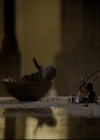 VampireDiariesWorld_dot_nl-TheOriginals_2x09TheMapOfMoments1820.jpg