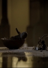VampireDiariesWorld_dot_nl-TheOriginals_2x09TheMapOfMoments1821.jpg