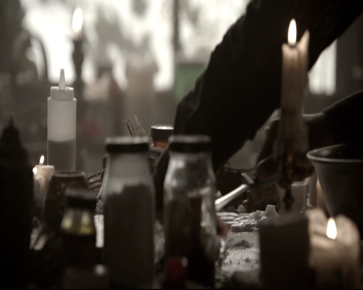 VampireDiariesWorld_dot_nl-TheOriginals_2x10GonnaSetYourFlagOnFire1265.jpg
