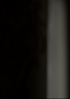 VampireDiariesWorld_dot_nl-TheOriginals_2x10GonnaSetYourFlagOnFire1487.jpg