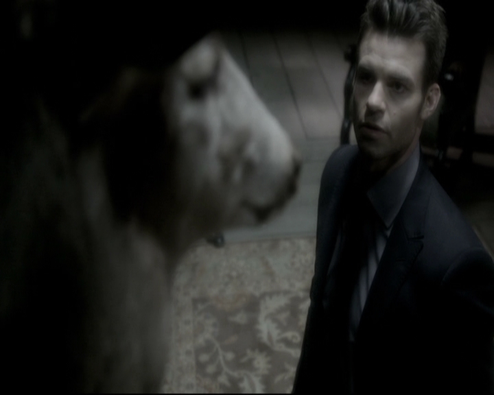 VampireDiariesWorld_dot_nl-TheOriginals_2x11BrotherhoodOfTheDamned1780.jpg