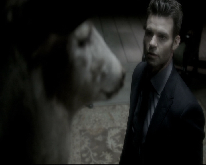 VampireDiariesWorld_dot_nl-TheOriginals_2x11BrotherhoodOfTheDamned1781.jpg