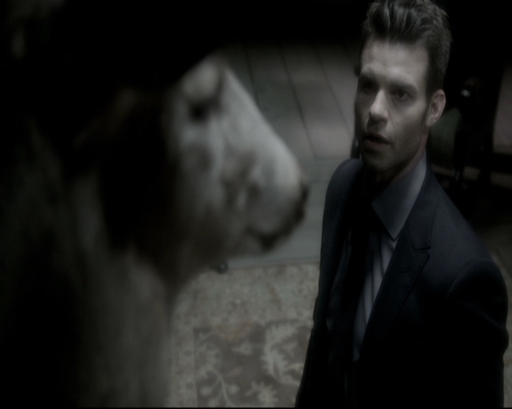 VampireDiariesWorld_dot_nl-TheOriginals_2x11BrotherhoodOfTheDamned1782.jpg