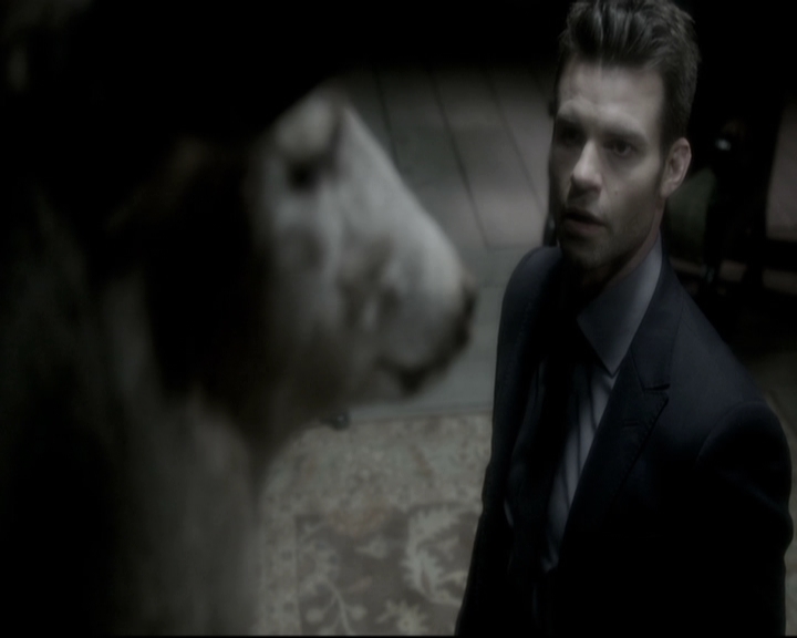VampireDiariesWorld_dot_nl-TheOriginals_2x11BrotherhoodOfTheDamned1783.jpg