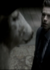 VampireDiariesWorld_dot_nl-TheOriginals_2x11BrotherhoodOfTheDamned1783.jpg