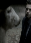 VampireDiariesWorld_dot_nl-TheOriginals_2x11BrotherhoodOfTheDamned1784.jpg
