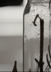 VampireDiariesWorld_dot_nl-TheOriginals_2x13TheDevilIsDamned0004.jpg