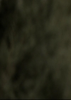 VampireDiariesWorld_dot_nl-TheOriginals_2x13TheDevilIsDamned1258.jpg