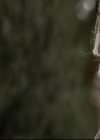VampireDiariesWorld_dot_nl-TheOriginals_2x13TheDevilIsDamned1259.jpg
