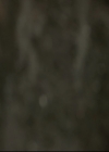 VampireDiariesWorld_dot_nl-TheOriginals_2x13TheDevilIsDamned1273.jpg