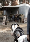 VampireDiariesWorld_dot_nl-TheOriginals_2x13TheDevilIsDamned1406.jpg