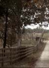VampireDiariesWorld_dot_nl-TheOriginals_2x13TheDevilIsDamned2211.jpg