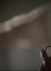 Filename=VampireDiariesWorld_dot_nl-TheOriginals_2x13TheDevilIsDamned2262.jpg
Filesize=125KiB
Dimensions=720x576
Date added=Nov 15, 2015 VampireDiariesWorld_dot_nl-TheOriginals_2x13TheDevilIsDamned2262.jpg