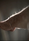 VampireDiariesWorld_dot_nl-TheOriginals_2x13TheDevilIsDamned2264.jpg