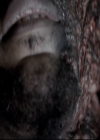 VampireDiariesWorld_dot_nl-TheOriginals_2x14GoodbyeILoveYou0266.jpg