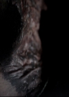 VampireDiariesWorld_dot_nl-TheOriginals_2x14GoodbyeILoveYou0338.jpg