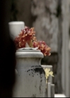 VampireDiariesWorld_dot_nl-TheOriginals_2x15TheyAllAskedForYou0350.jpg