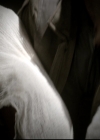 VampireDiariesWorld_dot_nl-TheOriginals_2x15TheyAllAskedForYou0376.jpg