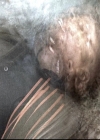 VampireDiariesWorld_dot_nl-TheOriginals_2x15TheyAllAskedForYou1562.jpg