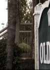VampireDiariesWorld_dot_nl-TheOriginals_2x18NightHasAThousandEyes0539.jpg