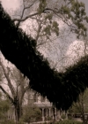 VampireDiariesWorld-dot-nl_TheOriginals-2x22AshesToAshes-DeletedScenes0003.jpg