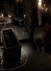 VampireDiariesWorld_dot_nl-TheOriginals_2x22AshesToAshes0681.jpg