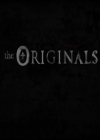 VampireDiariesWorld-dot-nl_TheOriginals-S3SanDiegoComicCon2014Panel0000.jpg