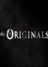 Filename=VampireDiariesWorld-dot-nl_TheOriginals-S3ComeVisitGeorgiaPSA0137.jpg
Filesize=93KiB
Dimensions=720x576
Date added=Nov 04, 2015 VampireDiariesWorld-dot-nl_TheOriginals-S3ComeVisitGeorgiaPSA0137.jpg