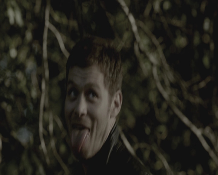 VampireDiariesWorld-dot-nl_TheOriginals-S3GagReel0106.jpg VampireDiariesWorld-dot-nl_TheOriginals-S3GagReel0106.jpg