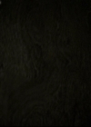 VampireDiariesWorld-dot-nl_TheOriginals-S3TheAwakeningsWebSeries-ChangeEverything0020.jpg