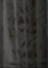 VampireDiariesWorld-dot-nl_TheOriginals-S3TheAwakeningsWebSeries-LockedIn0074.jpg